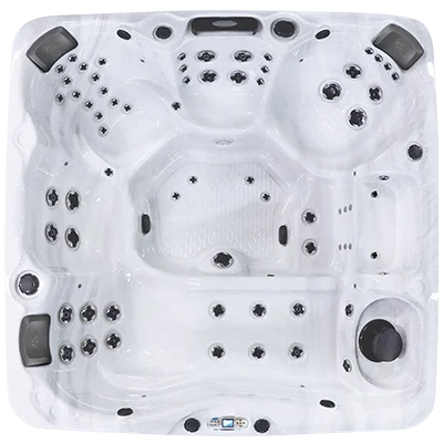 Avalon EC-867L hot tubs for sale in West Sacramento